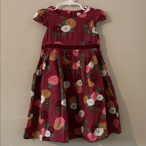 Baby Gap Floral Dress